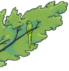 parrots-in-tree_isolated-v2