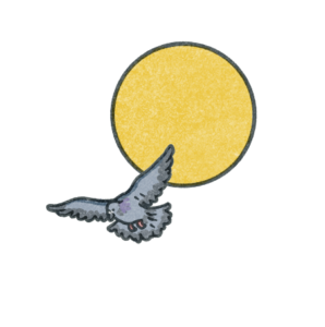 pigeon and sun_isolated